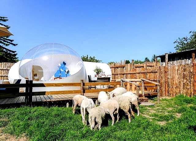 dormir dans une bulle ferme vitoz proche lyon