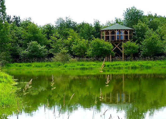 Dormir dans une cabane dans les arbres à Nantes au Repaire du Hibou