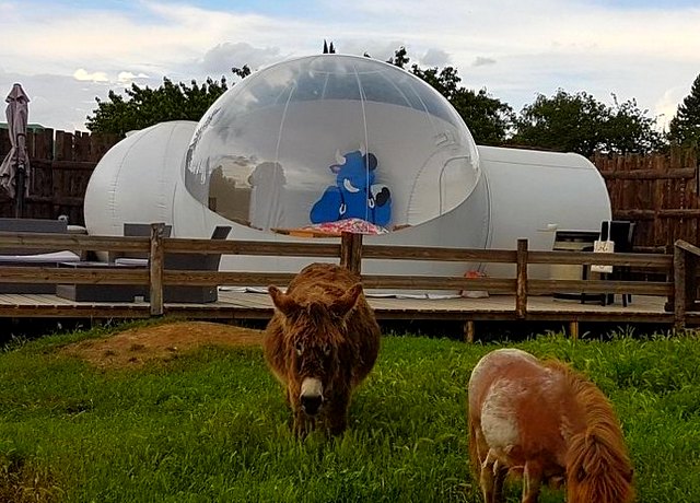 nuit insolite amoureux lyon petite ferme vitoz bulle paysanne