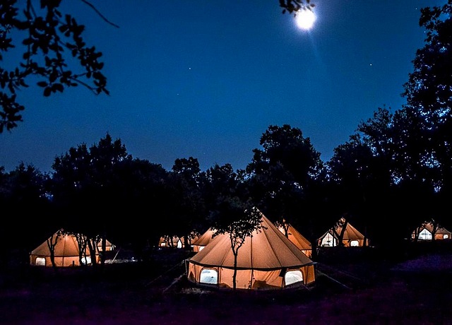 Découvrez votre future nuit insolite en amoureux près de Marseille dans les lodges de Lodg'ing